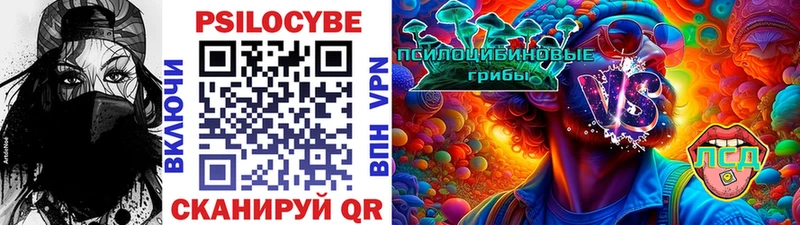 Галлюциногенные грибы Psilocybine cubensis Избербаш