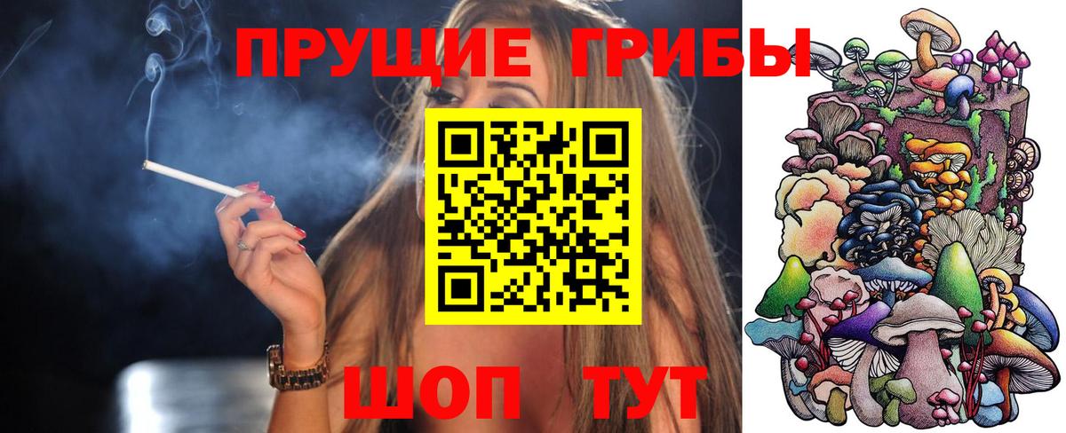 Избербаш  Галлюциногенные грибы мухоморы  Вход с VPN  Псилоцибиновые грибы GOLDEN TEACHER 